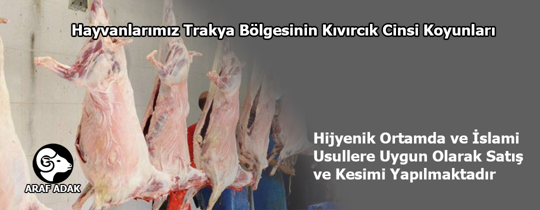 adak-kurban1 copyd